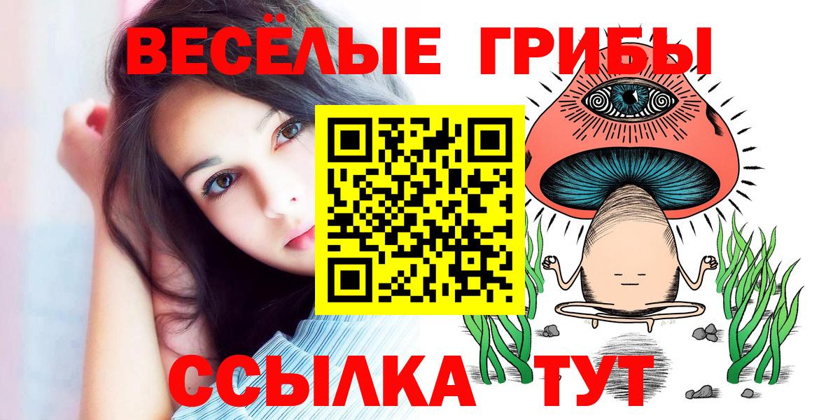 Карталы  Псилоцибиновые грибы GOLDEN TEACHER  Галлюциногенные грибы MAGIC MUSHROOMS  Вход с VPN 